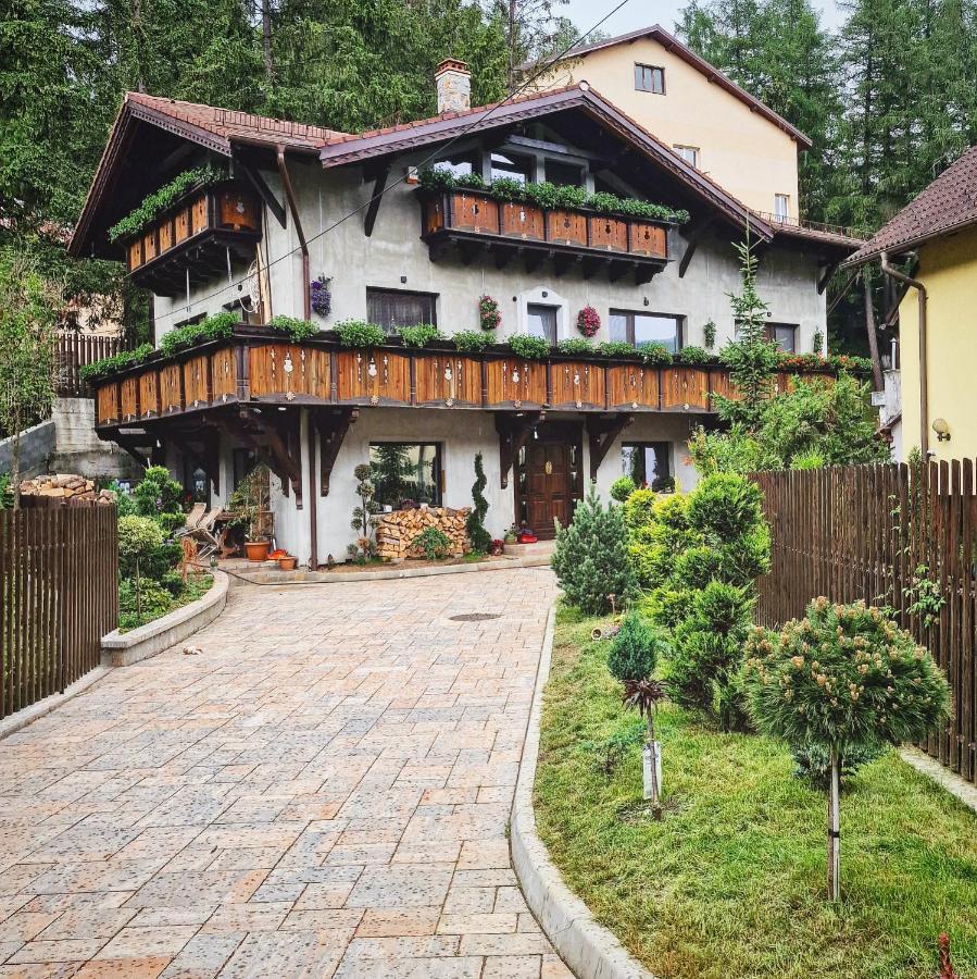 Amor Tirol Busteni (Adults Only) Εξωτερικό φωτογραφία