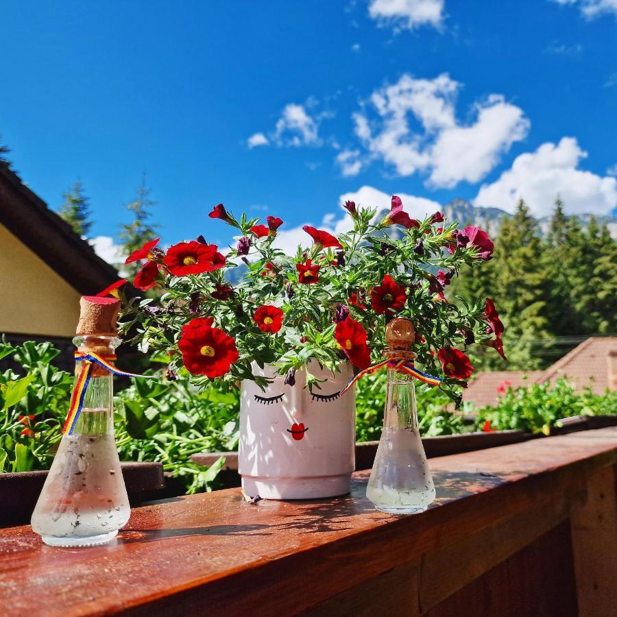 Amor Tirol Busteni (Adults Only) Εξωτερικό φωτογραφία