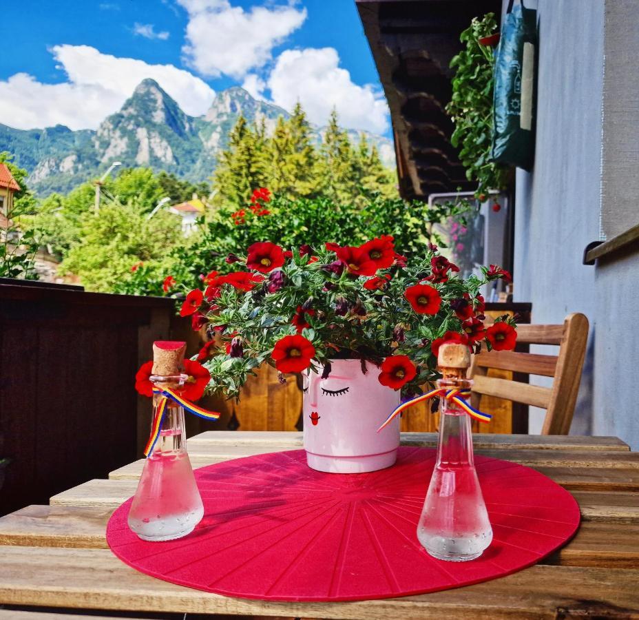 Amor Tirol Busteni (Adults Only) Εξωτερικό φωτογραφία