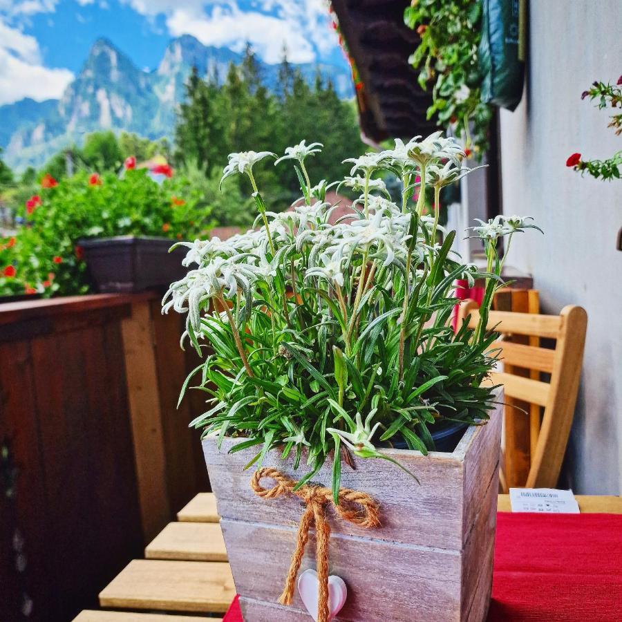 Amor Tirol Busteni (Adults Only) Εξωτερικό φωτογραφία