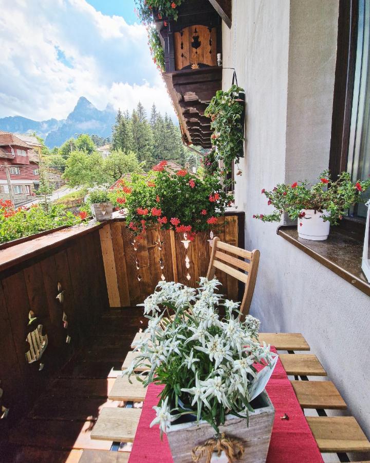 Amor Tirol Busteni (Adults Only) Εξωτερικό φωτογραφία