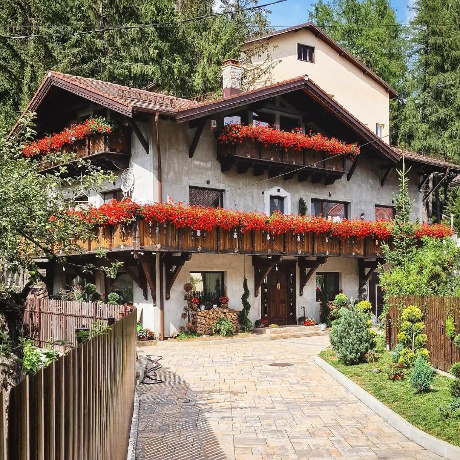 Amor Tirol Busteni (Adults Only) Εξωτερικό φωτογραφία