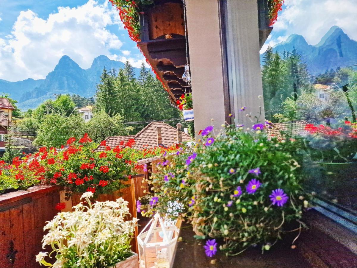 Amor Tirol Busteni (Adults Only) Εξωτερικό φωτογραφία