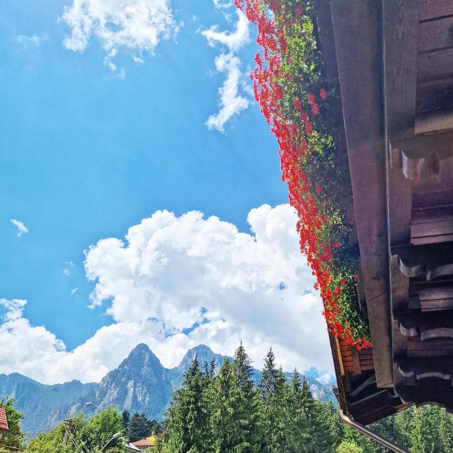 Amor Tirol Busteni (Adults Only) Εξωτερικό φωτογραφία