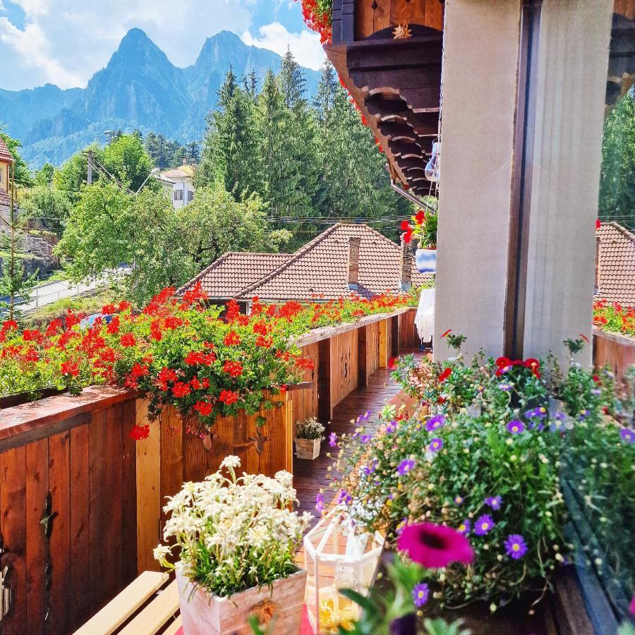 Amor Tirol Busteni (Adults Only) Εξωτερικό φωτογραφία