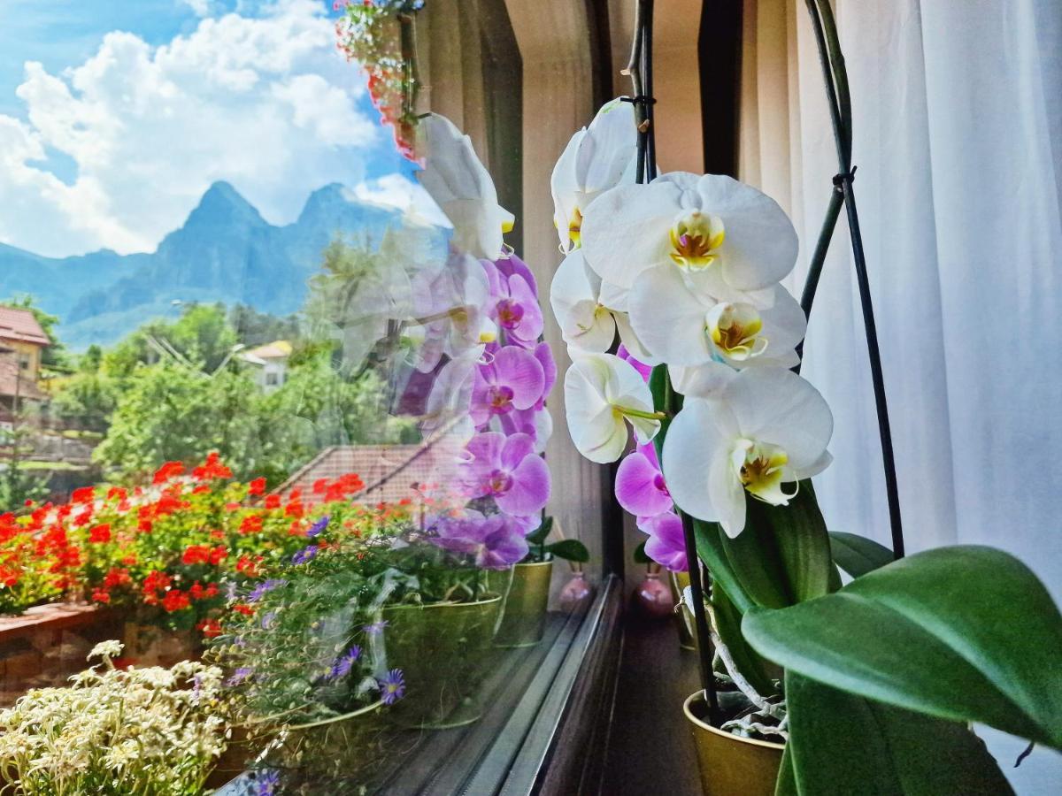 Amor Tirol Busteni (Adults Only) Εξωτερικό φωτογραφία