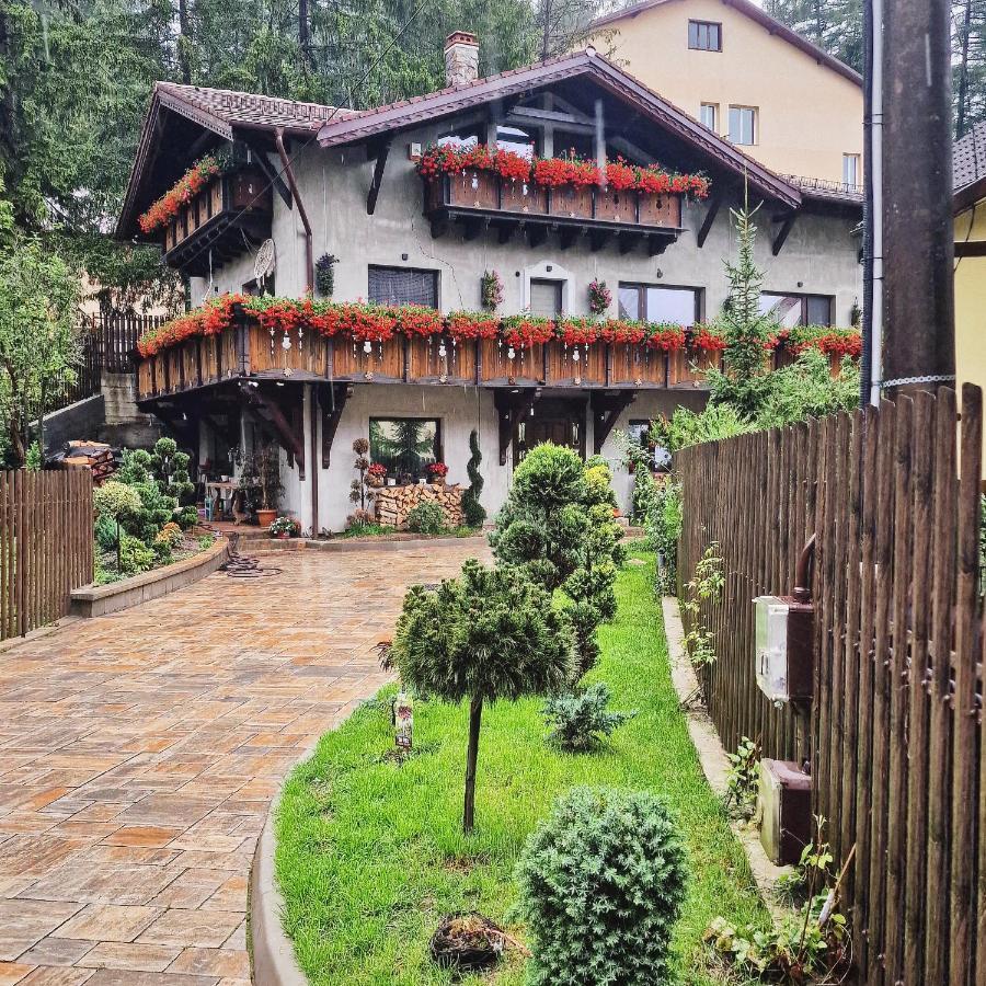 Amor Tirol Busteni (Adults Only) Εξωτερικό φωτογραφία