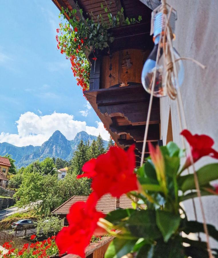 Amor Tirol Busteni (Adults Only) Εξωτερικό φωτογραφία