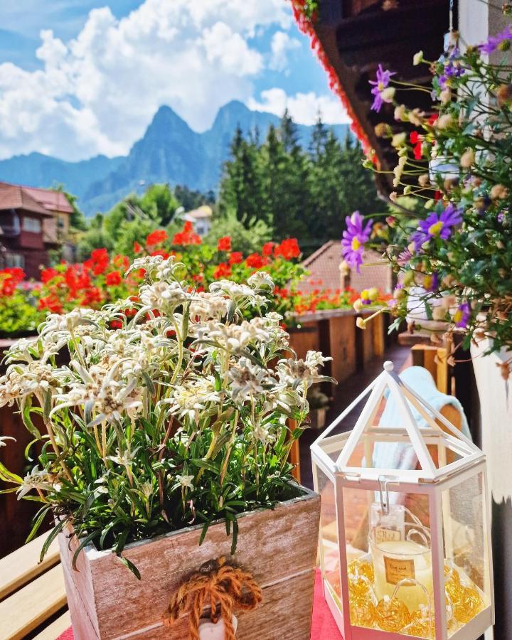 Amor Tirol Busteni (Adults Only) Εξωτερικό φωτογραφία