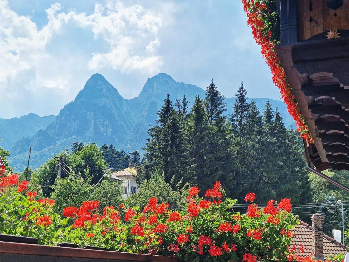 Amor Tirol Busteni (Adults Only) Εξωτερικό φωτογραφία