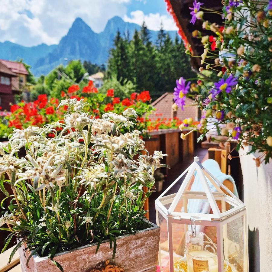 Amor Tirol Busteni (Adults Only) Εξωτερικό φωτογραφία
